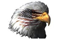 Eagle Automotives's Logo