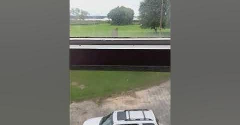 CAR REVIEW