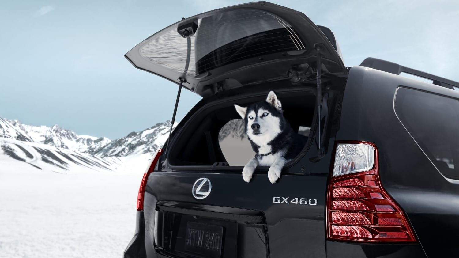 Lexus Reveals 2022 GX 460 Black Line Special Edition